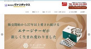 ヴァリダックス公式サイトのキャプチャ画像